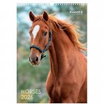 �������� �������� �3 2026 �., Horses (8804-26-3-a)